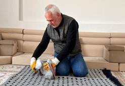 Hakkari'de karların içinde donmak üzereyken buldu! Evine alıp elleriyle besledi