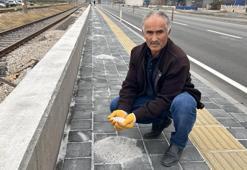 Yurt dışından gelen tırlardan dökülüyor! Bahçesine ekip para kazanıyor: Hatay'da meslek oldu