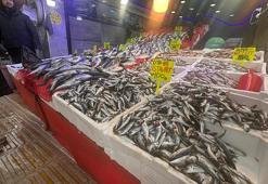 Samsun'da hamsi bolluğu! Kilogramı 130 liradan satılıyor