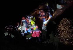 Sarıyer'de mantar toplamaya giden kadının başına gelmeyen kalmadı!