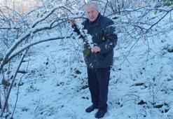 Giresun'da fındık üreticisi bayram etti, can suyu geldi! Verim artacak