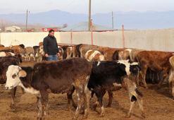 Üniversiteden mezun oldu, babasının yanına koştu! Devlet desteğiyle işi büyüttü, masrafları yarıya indirdi