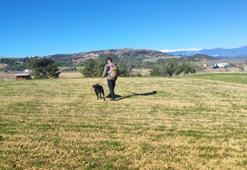 Tarlada defterindeki not bulundu! Kayıp genç için Adana'da nöbet başladı, 1 güzergah belli