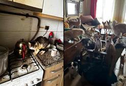 Kocaeli'de bir evden gelen ağır koku ekipleri harekete geçirdi! Kapı açıldı, herkes şoke oldu