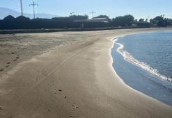 Hatay'da sabah sahile çıkanlar gözlerine inanamadı! Tedirginlik yaratan çekilme