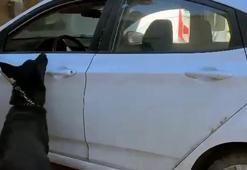 Aracından 66 bin uyuşturucu hap çıkan şahsın yaptığı savunma pes dedirtti