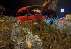 Eskişehir'de kaza sonrası ağaca tırmandı!