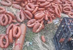 Yüzlerce kilo et ürünü Ankara'da boş araziye atıldı