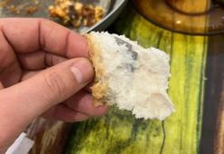 Nevşehir'de ekmeğin içinden çıkan şoke etti!