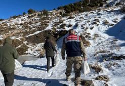 Siirt'te yaban hayata müdahale! 750 kilo bırakıldı