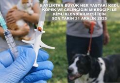 Bartın Valiliği'nden son gün uyarısı geldi!