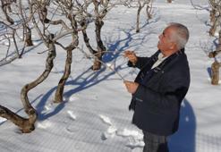 Kar yağışı çiftçinin yüzünü güldürdü! Yeni sezon için umutlar yeşerdi