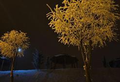 Şehir soğuktan dondu ortaya çarpıcı görüntüler çıktı!