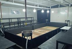 Manisa'da baskın: İki ilçede 14 kişi yakalandı