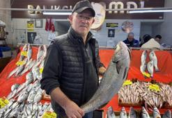 Denizlerdeki durgunluk tezgaha yansıdı! Hamside fiyatlar 400 liraya kadar çıktı