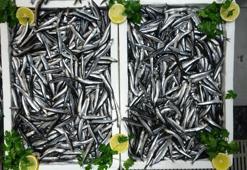 Avrupa'nın hamsisi Türkiye'den! İhracatta bu ülkeler ilk sırada