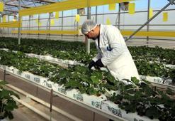 Çöp değil servet yatıyor! Gaziantep'te tam 40 bin konutun ihtiyacı bu tesisten karşılanıyor