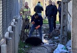 Manisa’da rögarda bebek cesedi alarmı! "Gözlerimle gördüm" dedi, ekipler seferber oldu