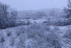 Kar yağışları Balkanlar üzerinden yurda giriş yaptı: Edirne'nin Hamzabeyli köyü beyaza büründü