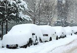 Tunceli'de okullar tatil mi? Yarın okul var mı? 9 Ocak 2026 Cuma Tunceli'de okullar tatil edildi mi? Açıklama geldi