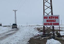 Bitlis'te kuduz alarmı! Bölge karantinaya alındı
