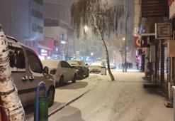 Ardahan'da kar yağışı ve dondurucu soğuklar etkili oldu