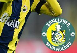 Şanlıurfaspor'a Fenerbahçe'nin eski yıldızı geliyor! Bu transfer olay olur