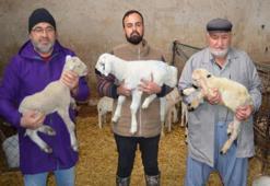 İngiltere'deki işini bırakıp Aksaray'daki köyüne döndü! Babasından devraldığı mesleği büyütüp kazancını katladı