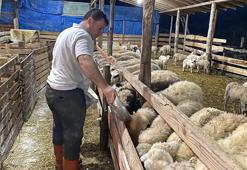 Sinoplu gençler sıfır faizli krediyle kurdu, şimdi taleplere yetişemiyor! 10 ayda ikiye katladılar