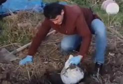 Hatay'da araba bozulunca ifşa oldu! Topraktan kilolarca altın fışkırdı