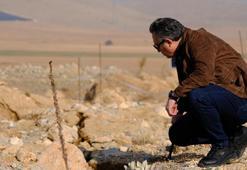 Konya'da kabus, ele geçirdiler! Köylüler diken üstünde, 700'ü geçti: Daha da kötü olacak