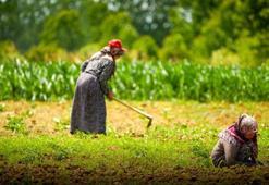 Kocaeli’de kooperatif ve birliklere yüzde 75 hibeli tarımsal destek