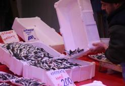 Hamsi Gürcistan'a istavrit Sakarya'ya kaçtı: Tezgahlar doldu taştı