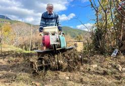 Yeminli mali müşavir Antalya'da toprağa ekti, 53 dönüme ulaştı! Verimi gördü, 2 yılda mesleği bıraktı