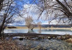 Konya'da tekrar hayat buldu: 2026 Ocak ayında görüldü