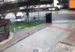 Adana'da silahlı saldırıya uğrayan baba yaralandı, 16 yaşındaki oğlu hayatını kaybetti