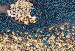 Konya'da unutulmaya yüz tutmuştu, şimdi siparişlere yetişemiyorlar: Üşümeyi bitiriyor, kana kan katıyor!