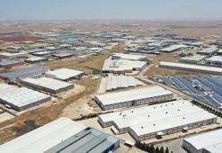 Şanlıurfa’ya 2 milyar liralık dev yatırım: Yıllık 36 bin ton üretilecek! Türkiye'nin en büyüğü olacak