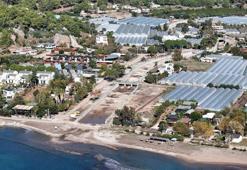 Antalya'da yarın bitiyor: Zeytinyağı yarışması için rekabet başlıyor