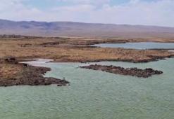 Şanlıurfa, Diyarbakır ve Mardin'e müjde: Karacadağ'da ortaya çıktı!