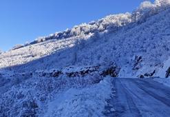 Ordu'da okullar tatil mi? Yarın okul var mı? 15 Ocak 2026 Perşembe Ordu'da okullar tatil edildi mi? Açıklama geldi