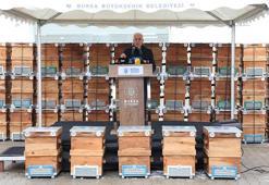 Bursa'da üreticiye destek! Dağ yöresinde harekete geçildi