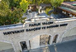 Kocaeli'de aniden karar değişti: Darıca Hayvanat Bahçesi'nin kapatıldı