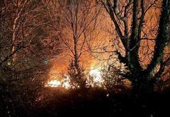 Zonguldak Filyos'ta ağaçlık alanda çıkan yangın korkuttu