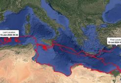 Antalya'dan yola çıktı, daha önce görülmedi! 1,5 yılda 24 bin kilometre yaptı