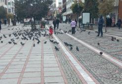 Edirne'nin en işlek caddesinde görüldü: Mağazaları Bulgarlar doldurdu