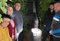 Termometreler eksiyi gördü, Mersin'de üreticinin zirai don nöbeti başladı