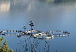 Torosların arasında üretiliyor, dünyaya gönderiliyor! Rusya'dan Japonya'ya 9 ülkeye dev ihracat