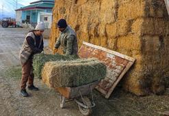 İnternette görüp başvurdu, hayatı değişti! Köyünde başladığı üretimle kazancını katladı