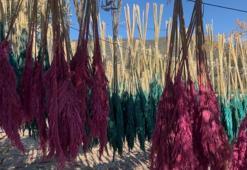 İzmir'in mis kokulu Nergis ve Kuru Çiçek Festivali başlıyor: Bayındır nergis kokacak